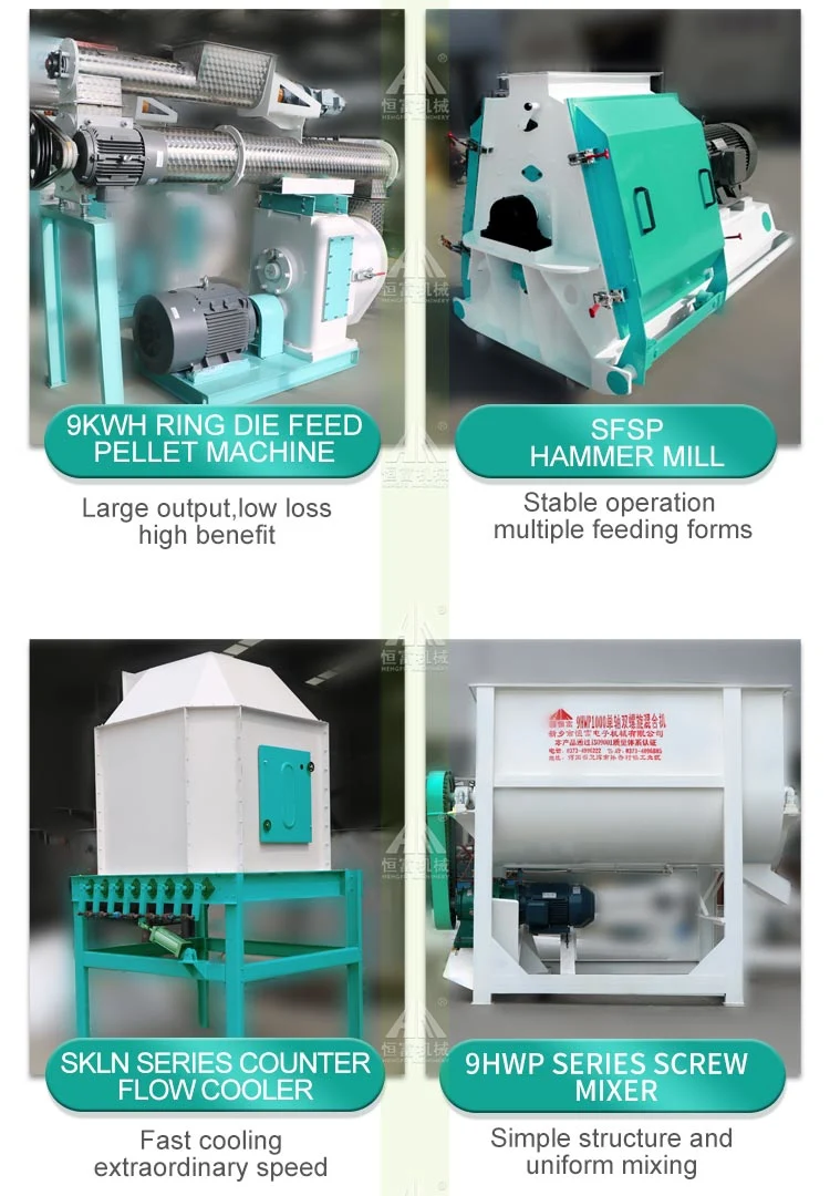 Complete Hammer Mill Granulator Cooler Packing System Manufacturing Plant for Animal Feed