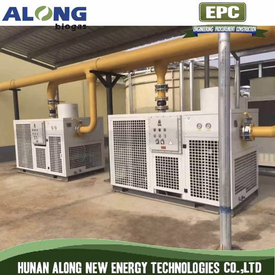 5000m3/H Biogas Dehumidification System with Blower